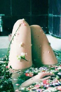 440a4d6fe5b77bc976ad925f63579dab